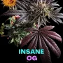 Семена конопли Insane OG от Barney's Farm